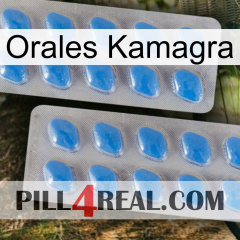 Oral Kamagra 23